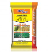 醛螯聚失—水稻專用肥