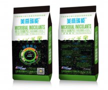 美高碳能