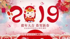 2019新夢想，新希望 山東美高國際化