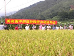 美高“湖南長(zhǎng)沙市長(zhǎng)沙縣早稻示范